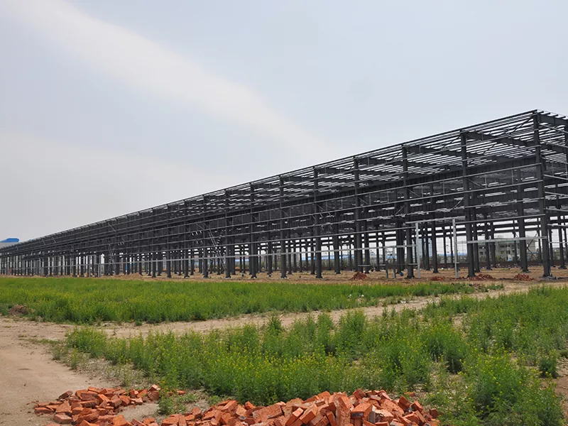 स्टील गोदाम निर्माण गर्दै किटहरू